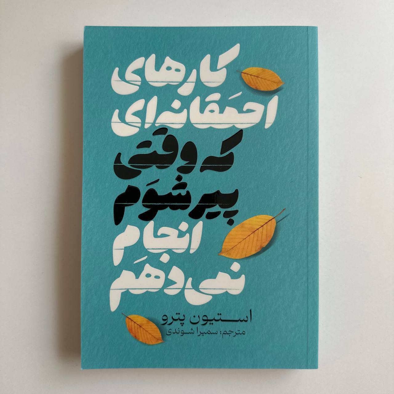  کارهای احمقانه ای که وقتی پیر شوم انجام نمی دهم اثر استیون پترو 