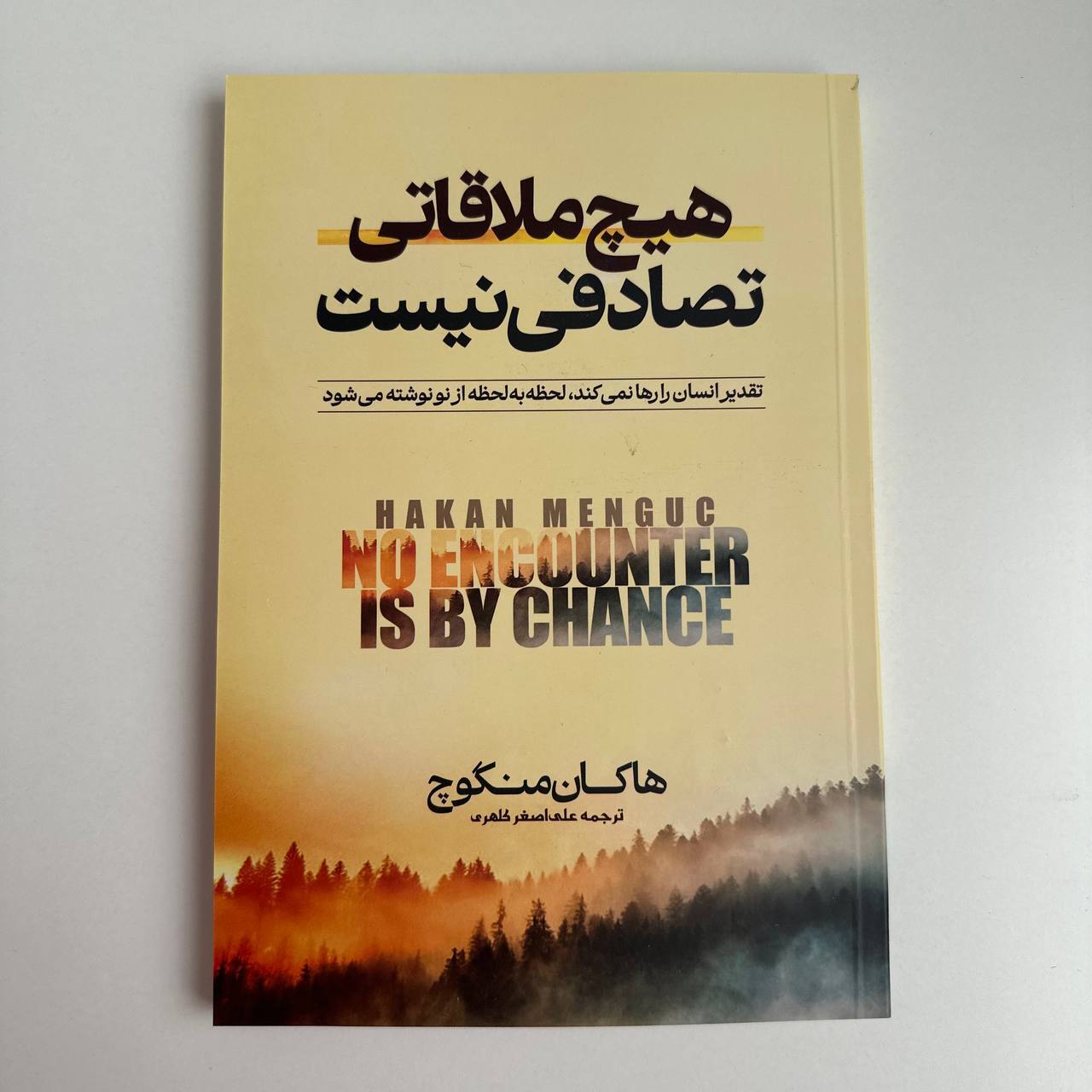  هیچ ملاقاتی تصادفی نیست اثر هاکان منگوچ 