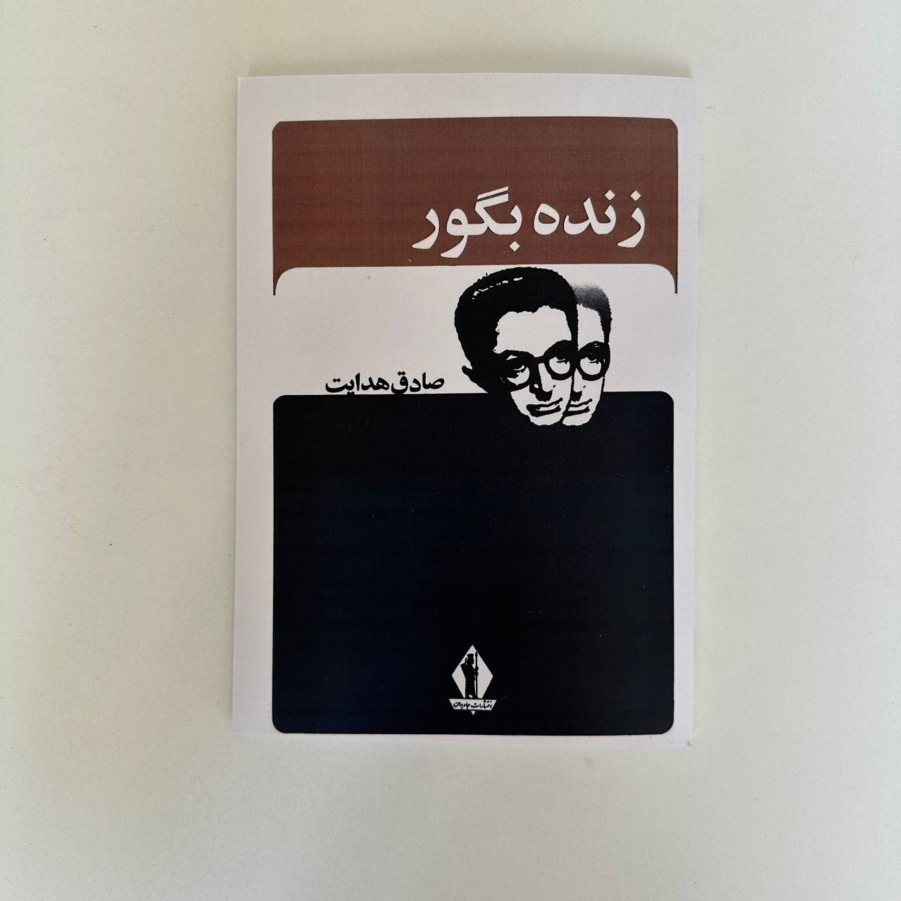  زنده به گور اثر صادق هدایت 