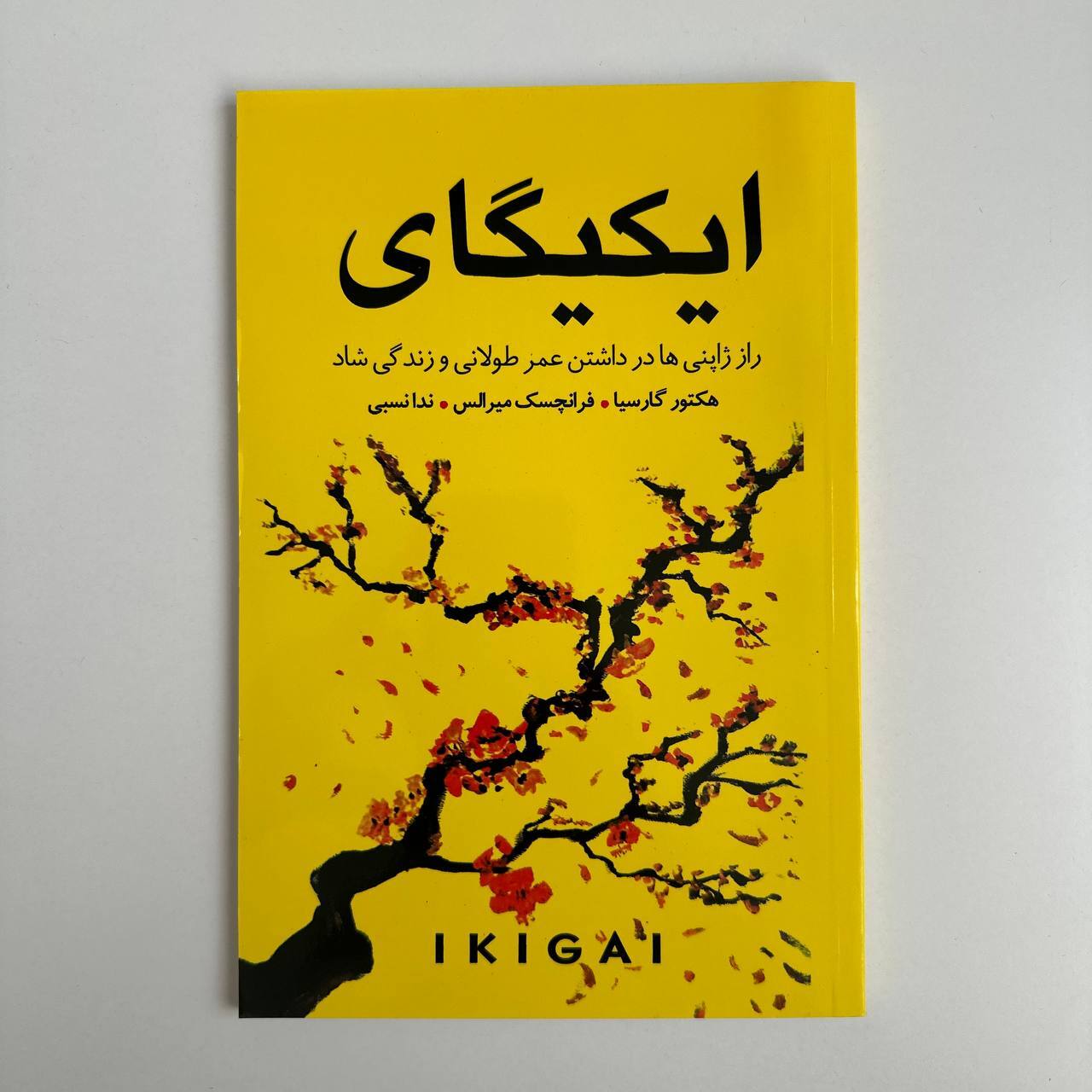  ایکیگای اثر هکتور گارسیا و فرانچسک میرالس 