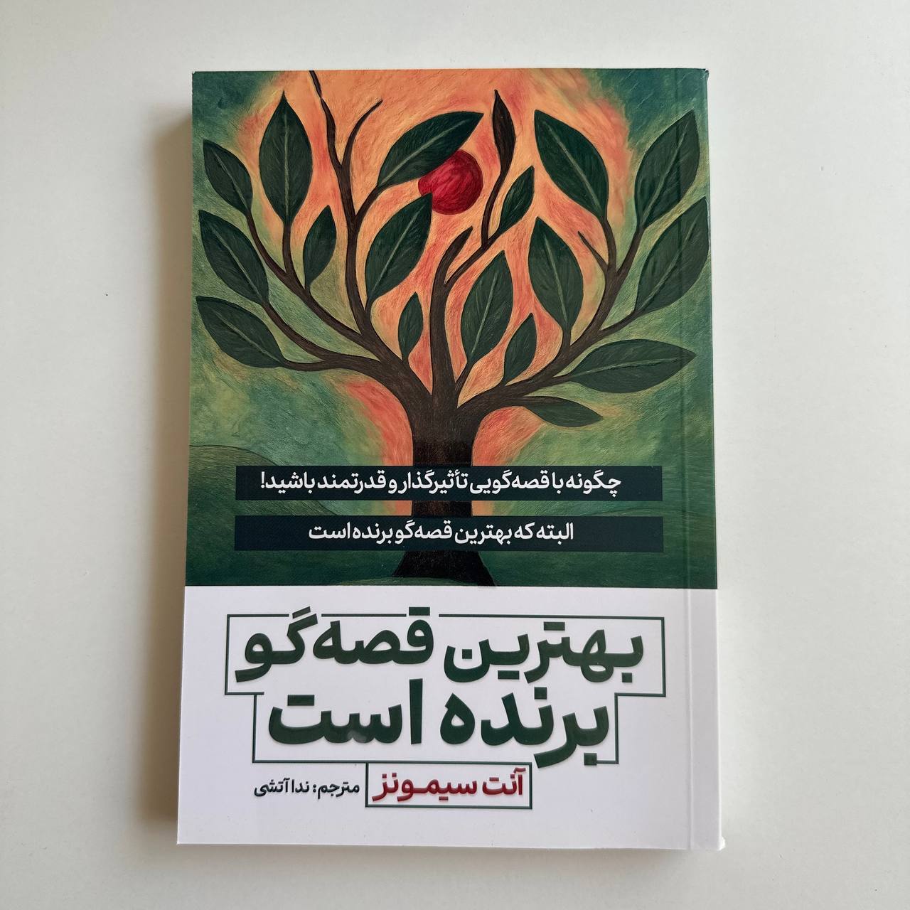  بهترین قصه گو برنده است اثر آنت سیمونز 
