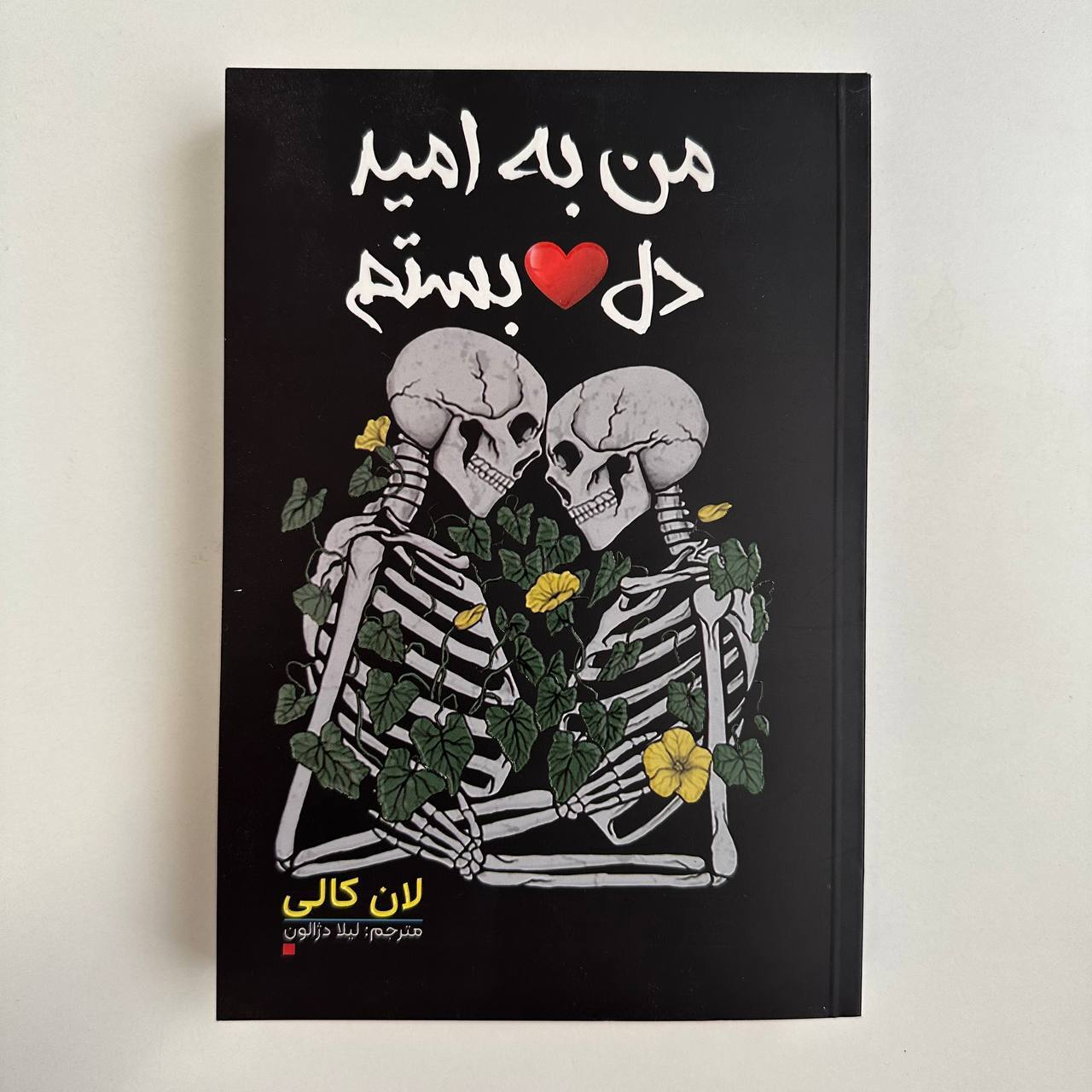  من به امید دل بستم اثر لن کالی 