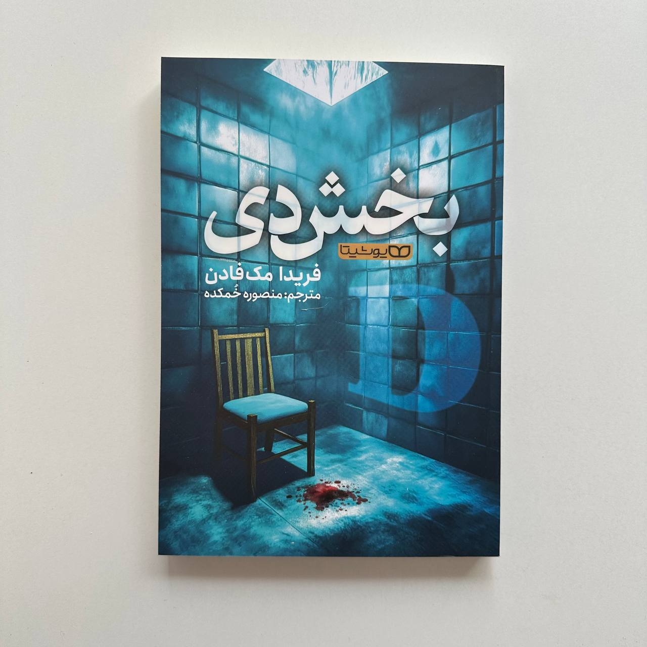  بخش دی اثر فریدا مک فادن 