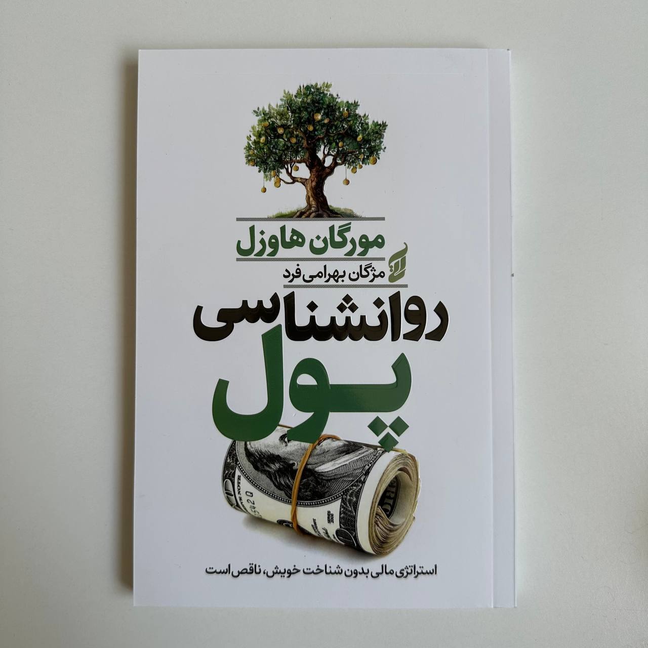  روانشناسی پول اثر مورگان هاوزل 